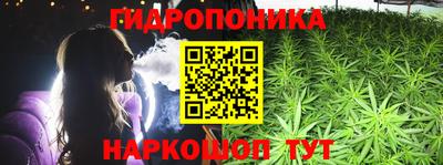 прущие крисы Шелехов